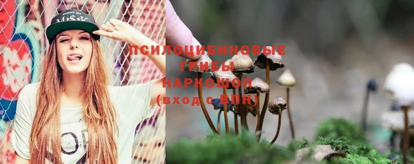 индика Коряжма