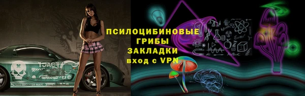 индика Коряжма