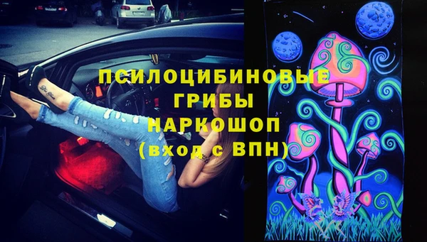 индика Коряжма