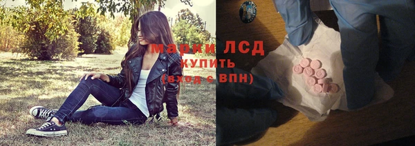 индика Коряжма