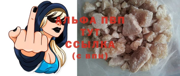 индика Коряжма