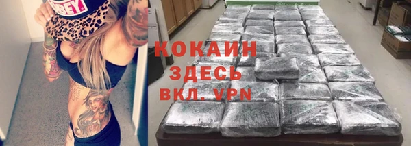 индика Коряжма
