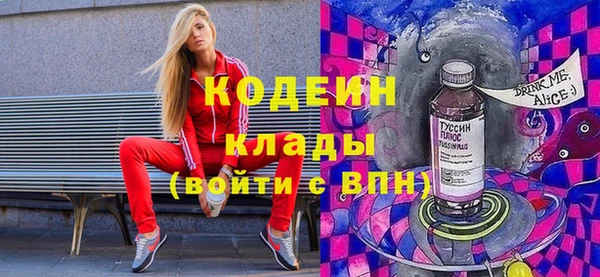 индика Коряжма