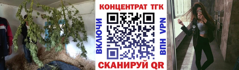Дистиллят ТГК Wax Куйбышев